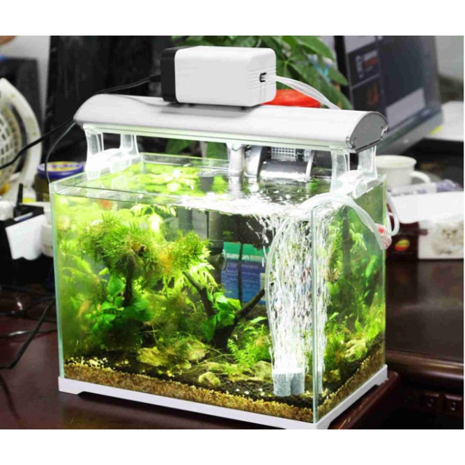 SUNSUN CT-202 Silent Aerator Pompa Udara Pompa Aquarium Aerator Oksigen Aquarium Pompa Aquarium Termurah