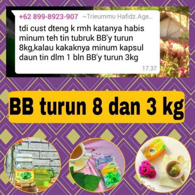 

Kapsul Daun Tin # Penurun Berat Badan