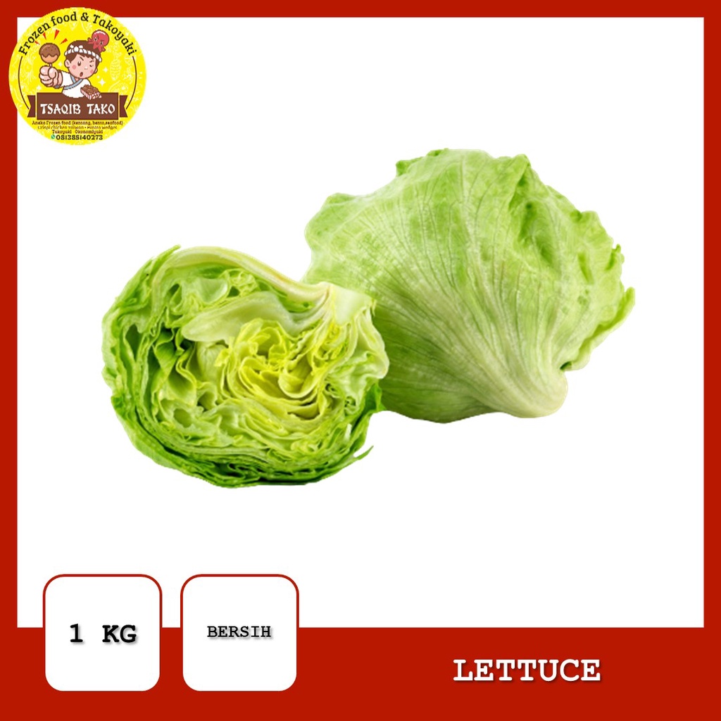 

PROMO Lettuce head 1KG - 1KG