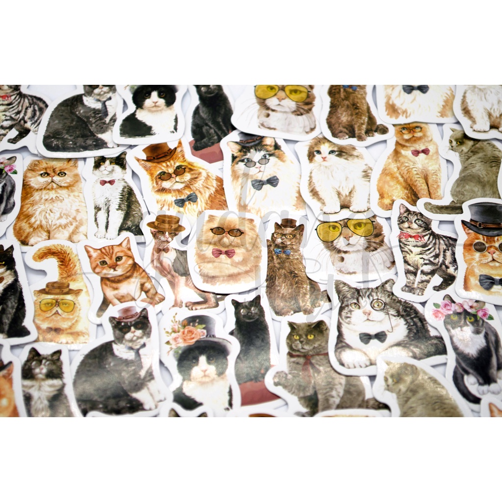 Stiker Cool Cat Sticker Motif Kucing Lucu Deco Sticker GH 303337