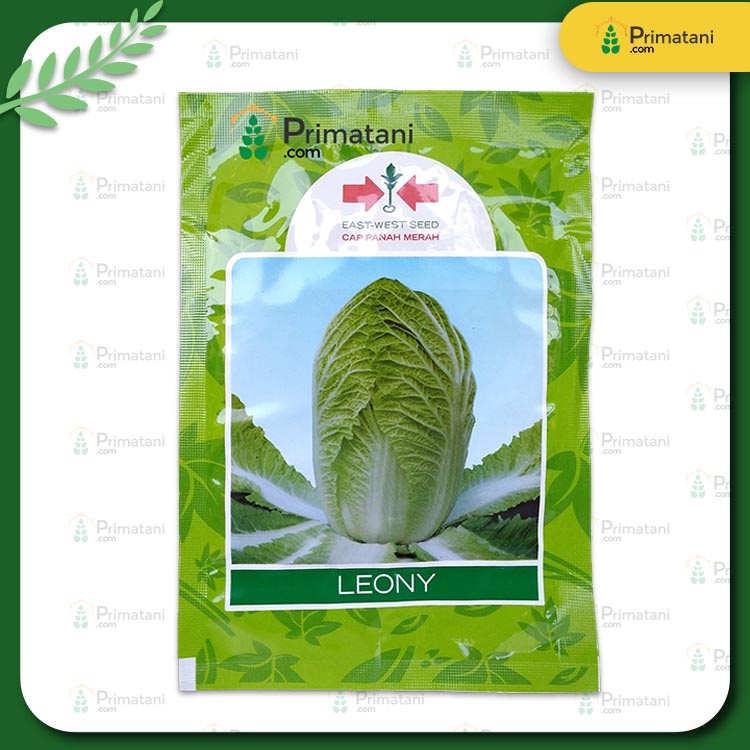 Benih Sawi Putih Leony 10 gr High Quality