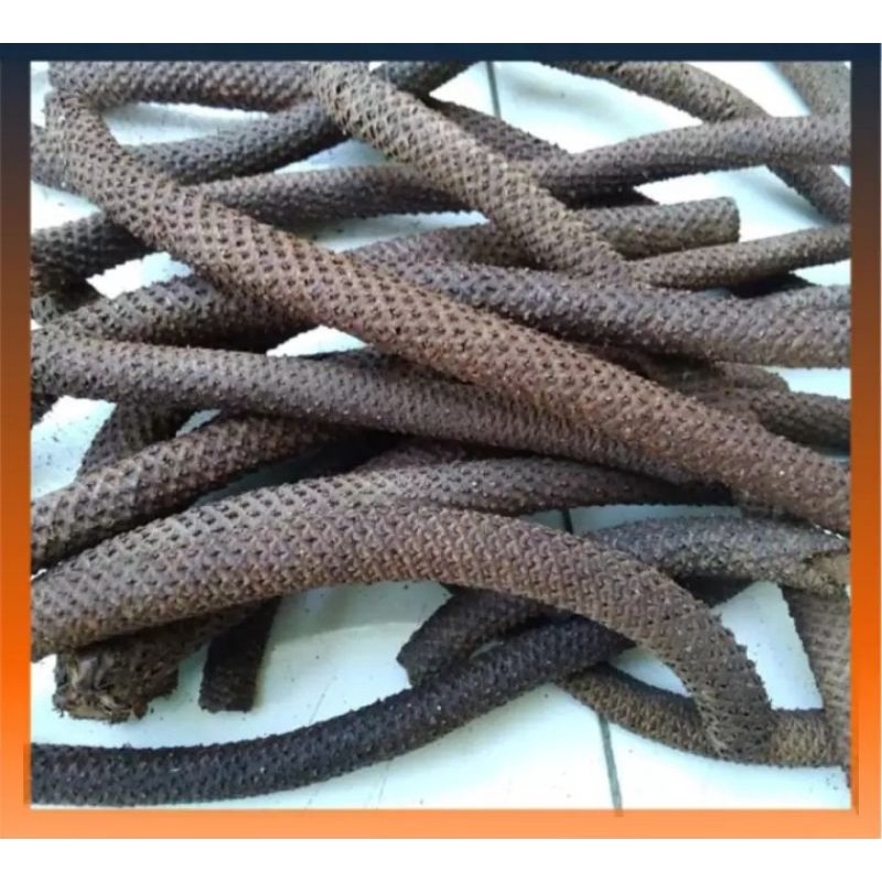 Kayu Lanang 100gr/Kayu Lanang Herbal Kejantanan Pria