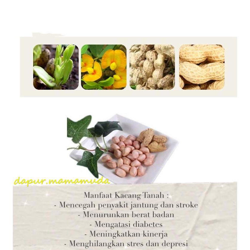 

Kacang Tanah Mentah/Kacang Tanah Kupas/Kacang Tanah Repack 150 Gram