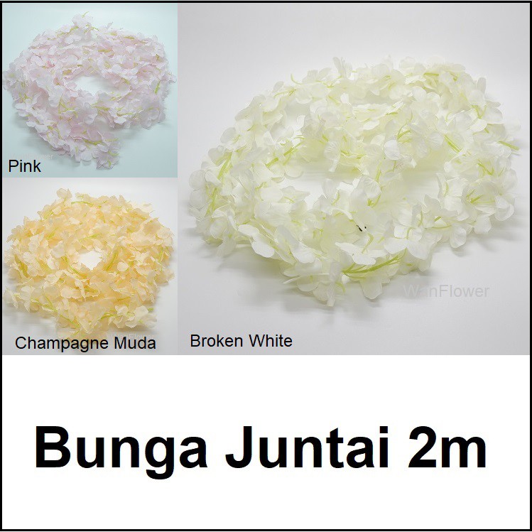 WANFlower Bunga Juntai Wisteria 2M * ALL