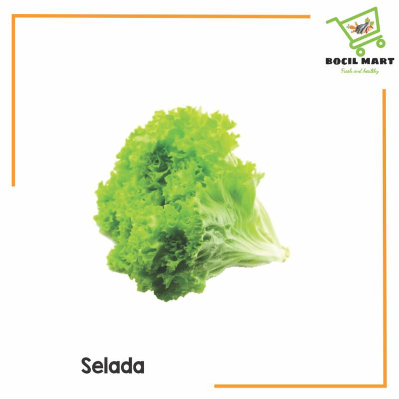 

[BOCIL MART] SELADA / SELADA KERITING 200 GR