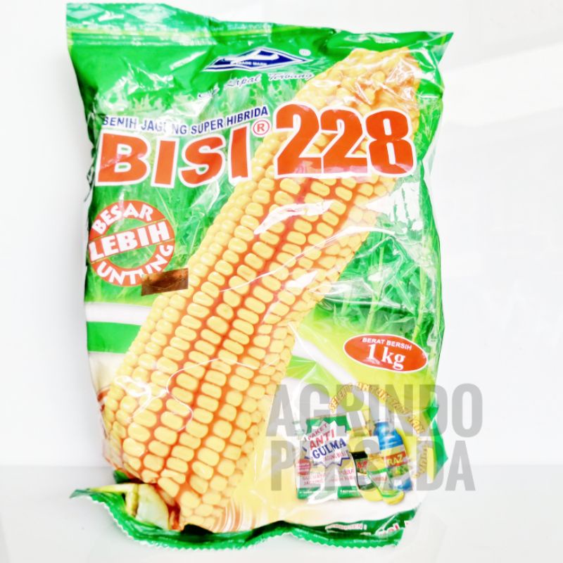 Benih Jagung Bisi 228 1 Kg Cap Kapal Terbang