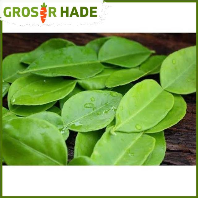 

Daun jeruk bandung Pasar Bandung Murah