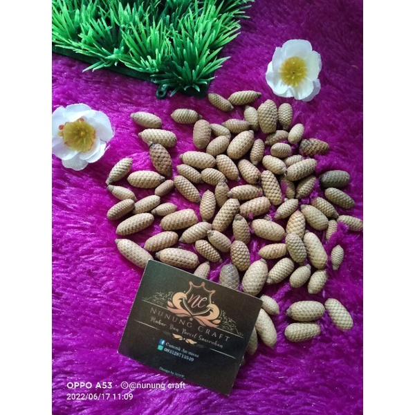 

biji rotan lonjong bahan rustic