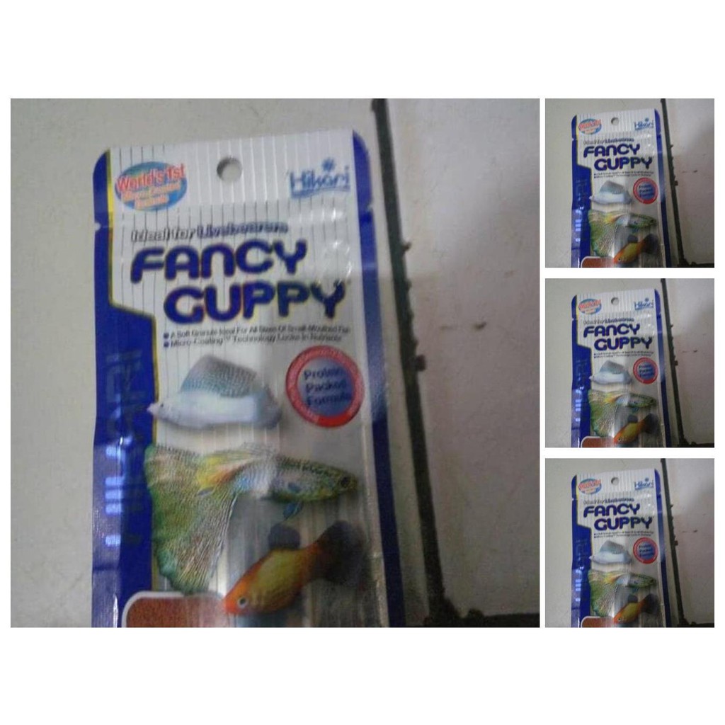 makanan ikan kecil guppy neon hikari fancy guppy tetra