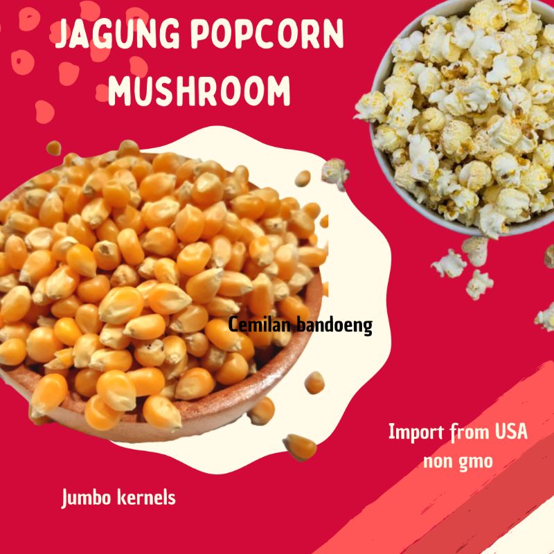 Jagung popcorn Mushroom kemasan 1 kg EXP FEB 2024