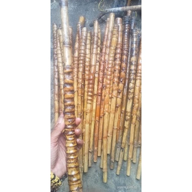 bambu cendani bongkot besar