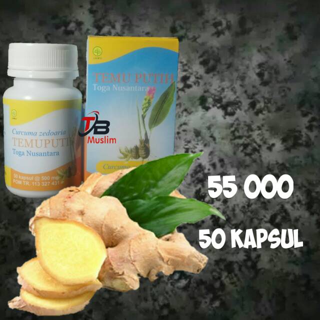 

TEMU PUTIH Toga Nusantara