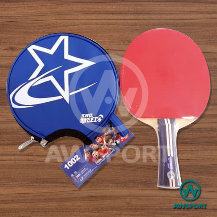 Bet Ping Pong DHS 1002