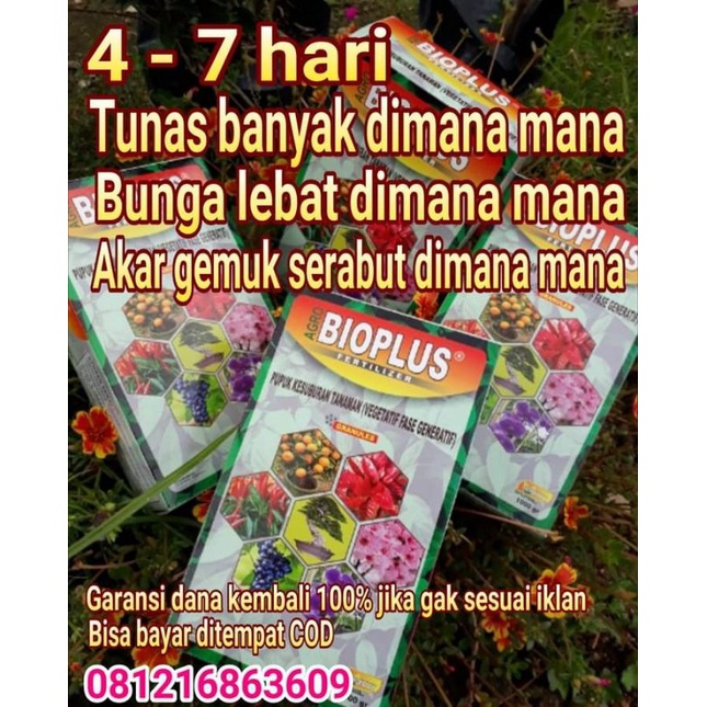 Bioplus