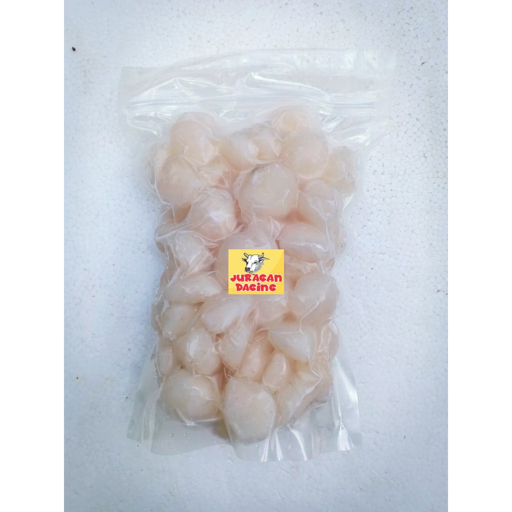 Scallop / Kerang Kampak / Kerang Simping 500gram termurah ! Shopee