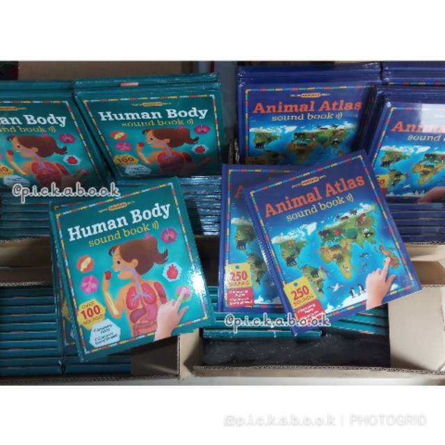 Human Body & Animal Sound book & Doctor sound book