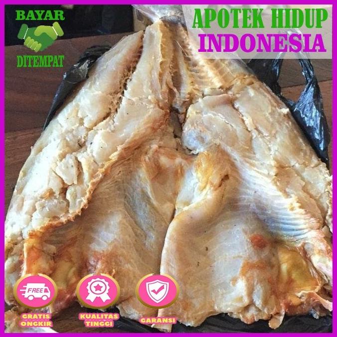 

---Terbaru--- Jambal Roti Super Madu Khas Pangandaran