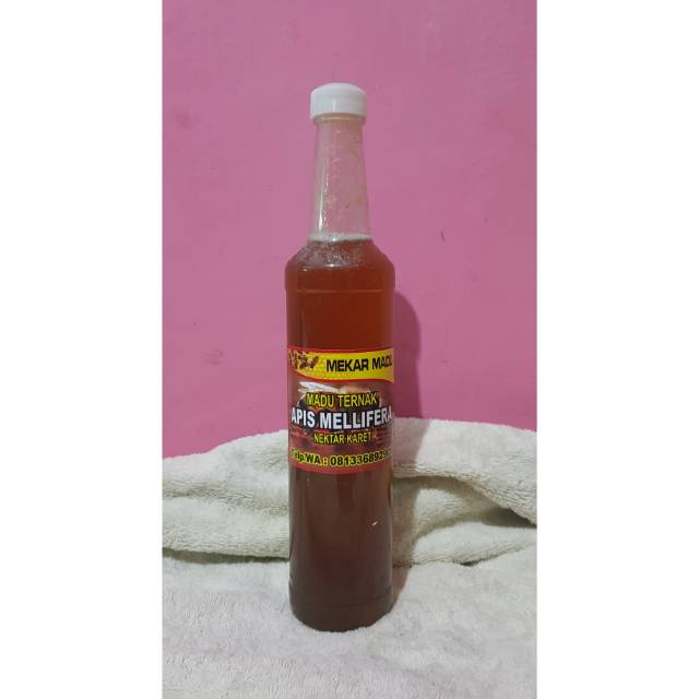 

MADU TERNAK HUTAN APIS MELLIFERA