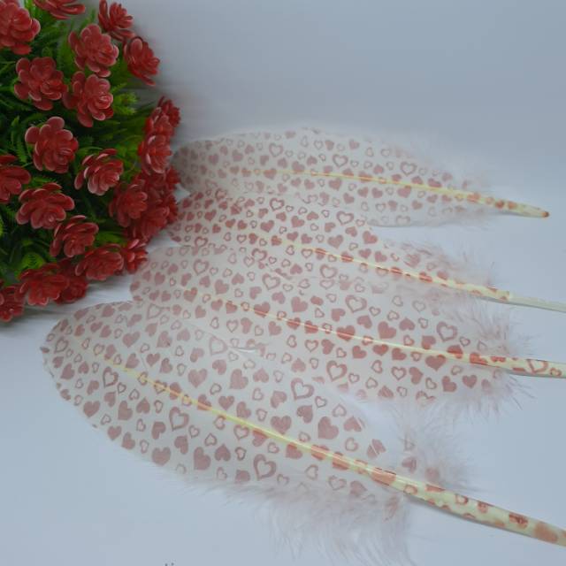 BULU AYAM PRINTIMG KARAKTER /BULU PRAKARYA ANAK /BULU WARNA WARNI