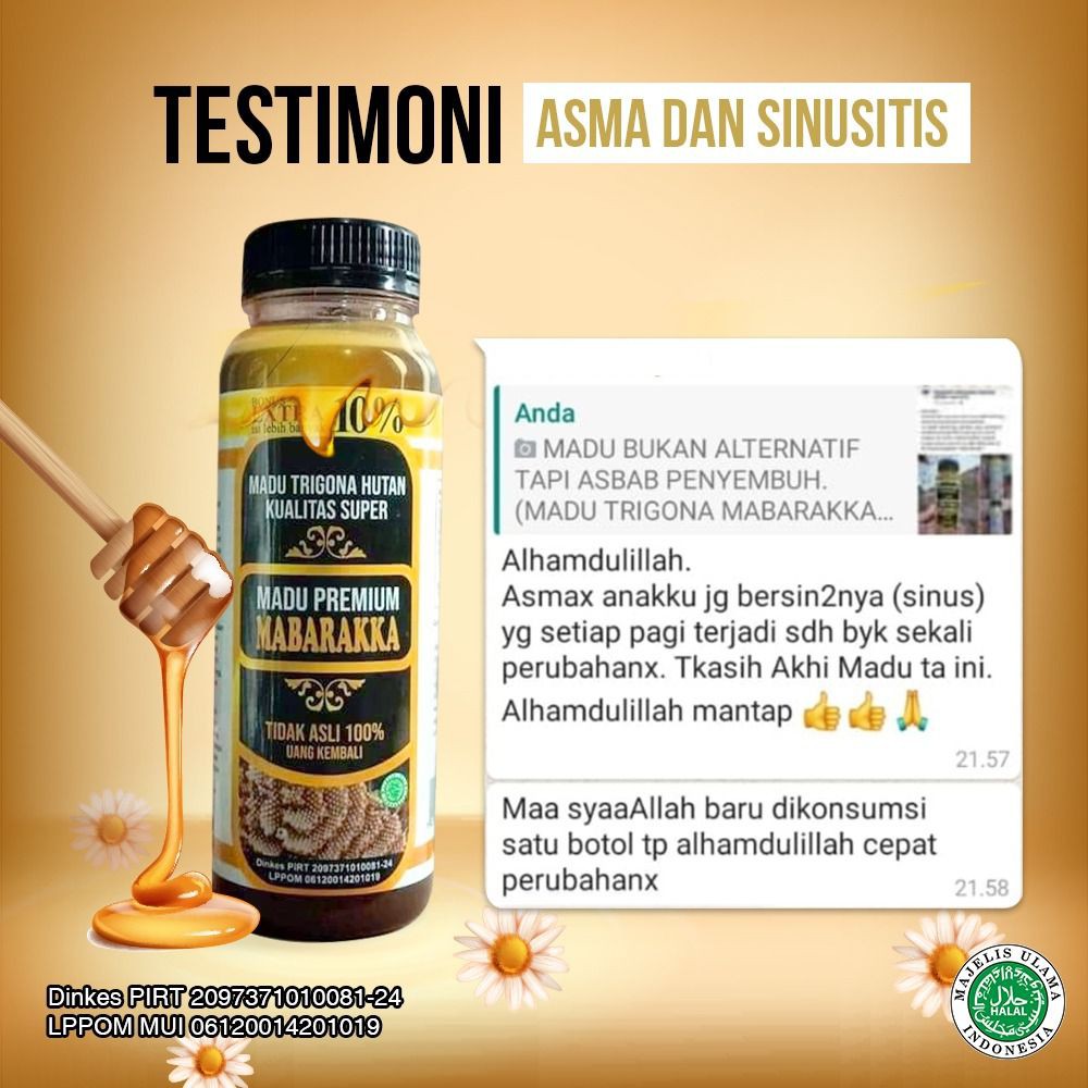 Madu Trigona Hutan Mabarakka Asli Berkualitas Banyak Khasiat Indonesia