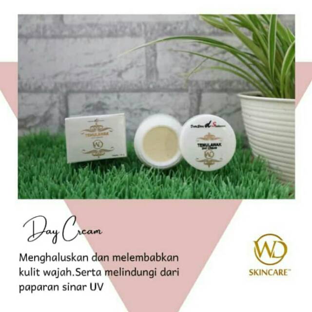 Temulawak original day crem