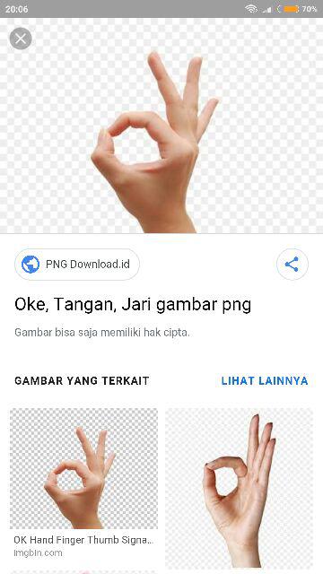 Wallpaper Dinding Bunga Kilap Pink