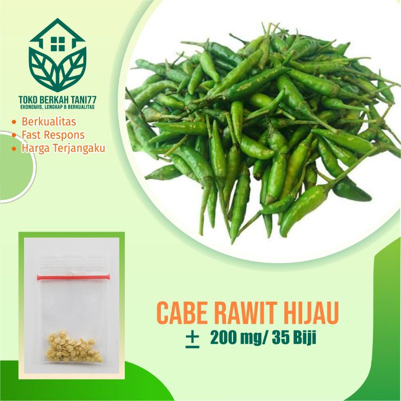 BENIH SAYURAN UNGGUL TERLENGKAP TERJANGKAU BIBIT KUBIS TOMAT SAWI TERONG CABE BUNCIS BAYAM KANGKUNG-Cabe rawit hijau
