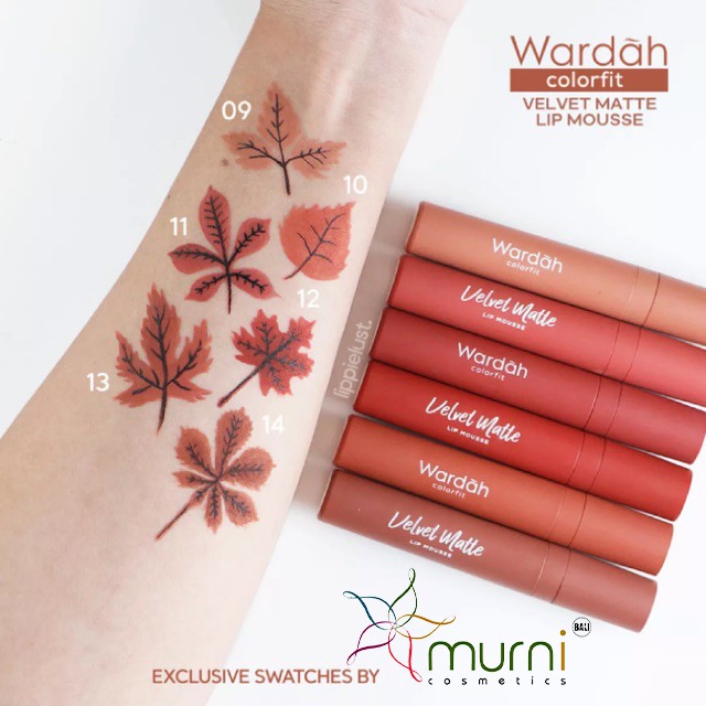 WARDAH Velvet Matte Lip Mousse New Shade