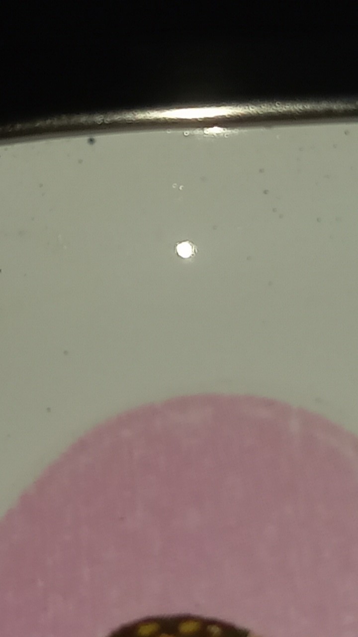 Mug Enamel List Stainless Couple/wedding Series Custom