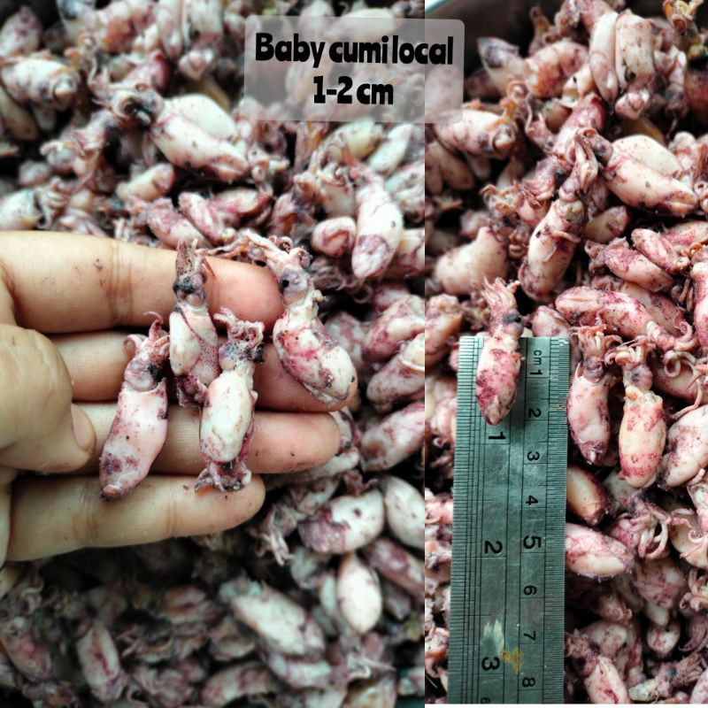 

Baby Cumi Lokal Grade 250gr