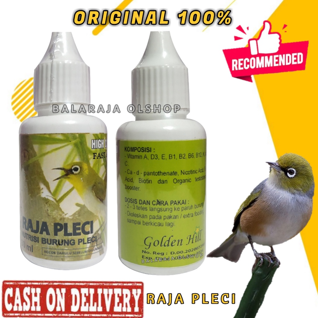 Vitamin Burung Kicau Gacor Raja Pleci Raja Pleci