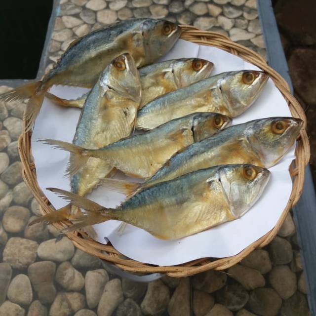 

Ikan peda kembung