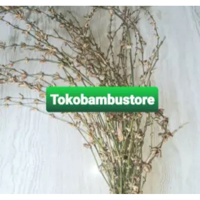 Bunga bambu atau kembang pring asli perikat isi 30 batang-az