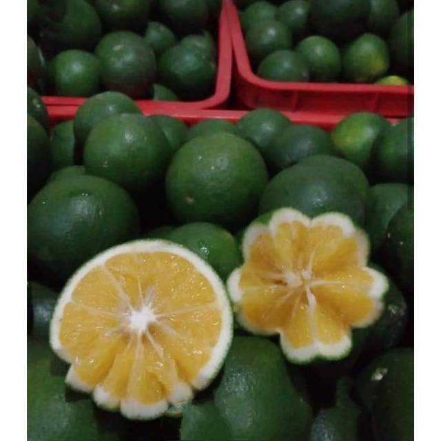 

Jeruk Baby Fresh 1kg