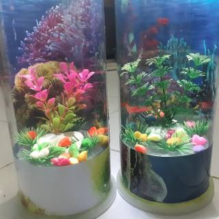 44+ Aquarium Cupang Lampu Gratis