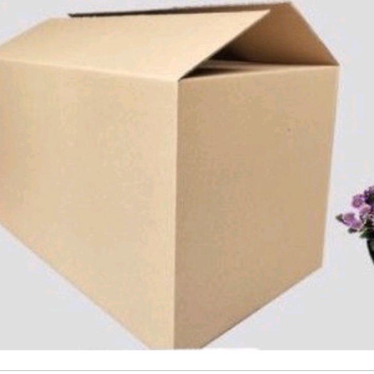 

[PRODUK PEMMC] fre kardus/bublewrap £F0T ZJF