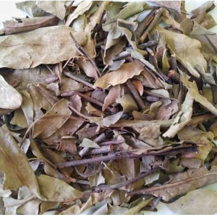 

Benalu Teh Kering Premium Seduhan JSR