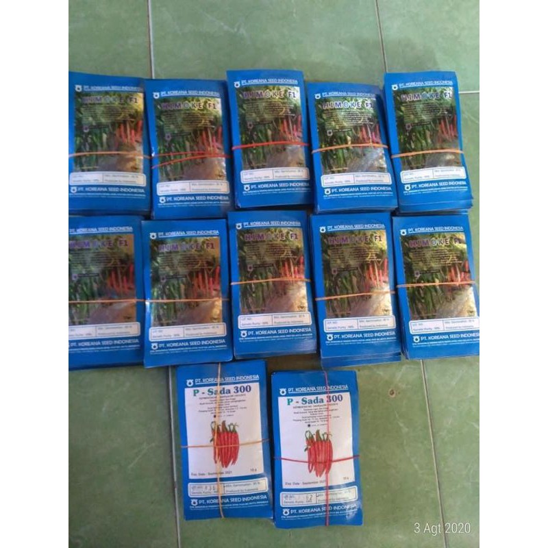 benih cabai besar HIMOKE F1