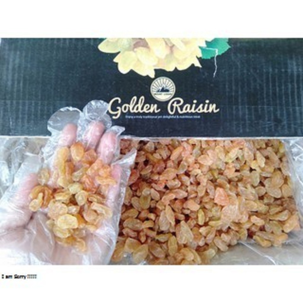 

Kismis Golden Raisin Termurah Kismis Kuning Oleh Oleh Haji Original 10 kg