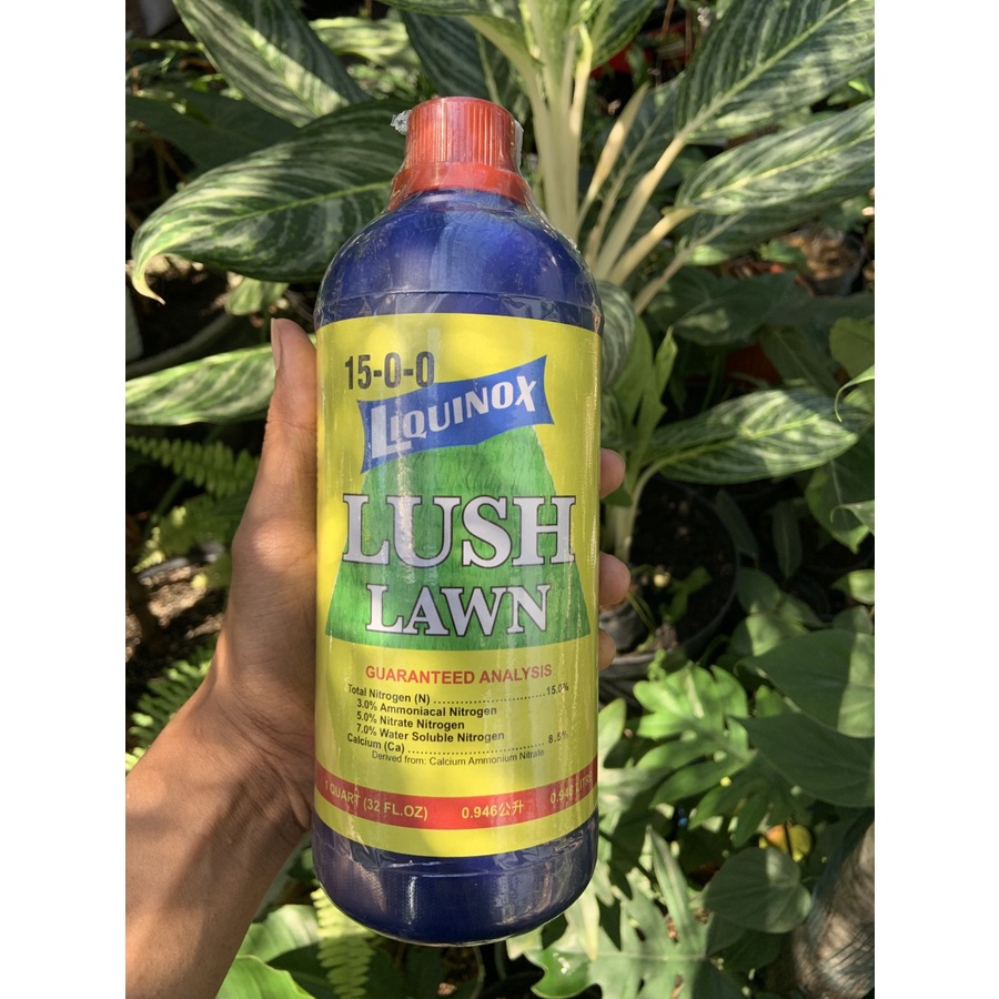 Liquinox Lush Lawn Pupuk Cair Organik Rumput NPK 15-0-0 Taiwan 946ml