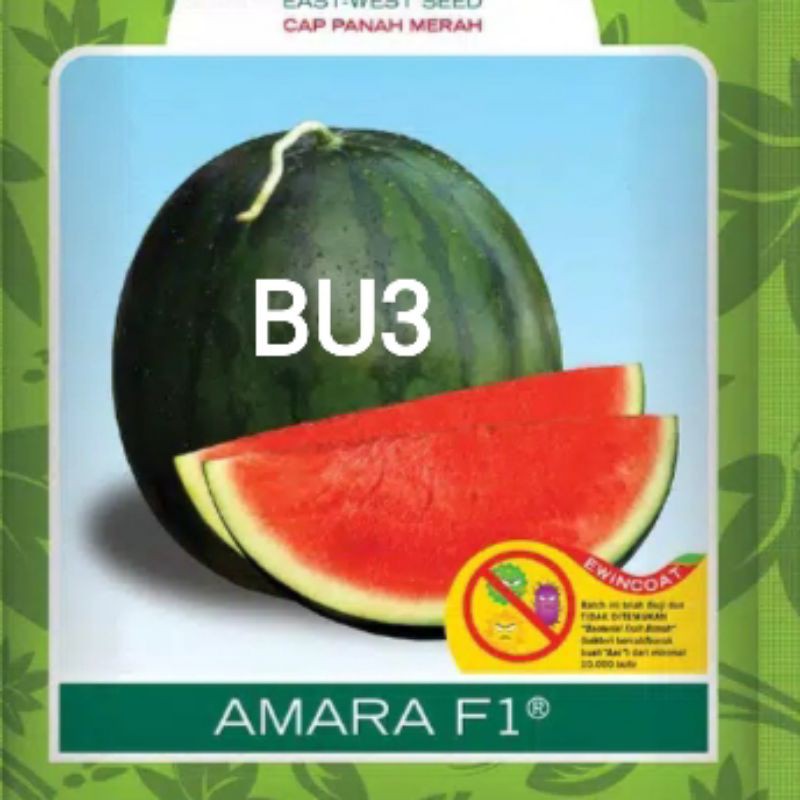 Benih Buah Semangka Merah Kuning Melon Pepaya California Timun Apel Suri Blewah Terong Belanda-BU3 Semangka Nonbiji