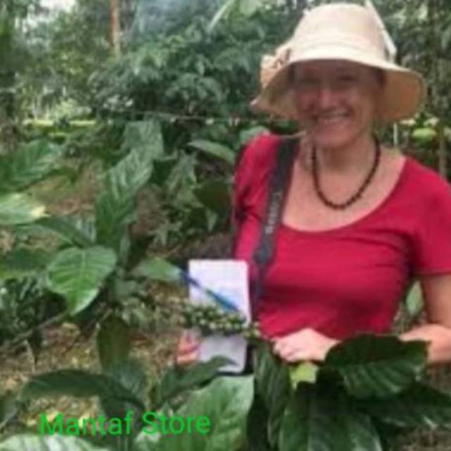 Biji Benih KOPI LIBERIKA /kopi Dewevrei/ Kopi Nangka UNGGUL