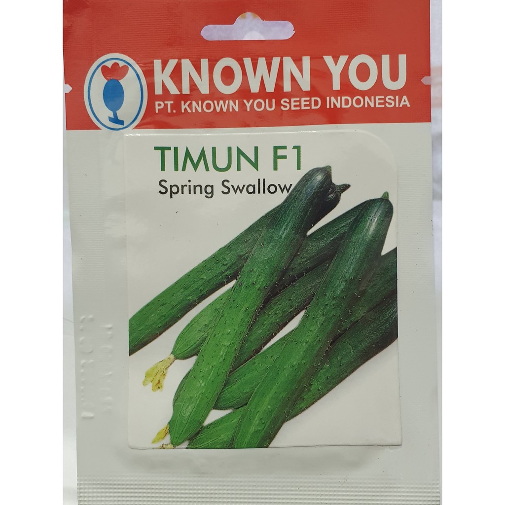 TIMUN SPRING SWALLOW benih bibit timun jepang f1 unggul known you seed