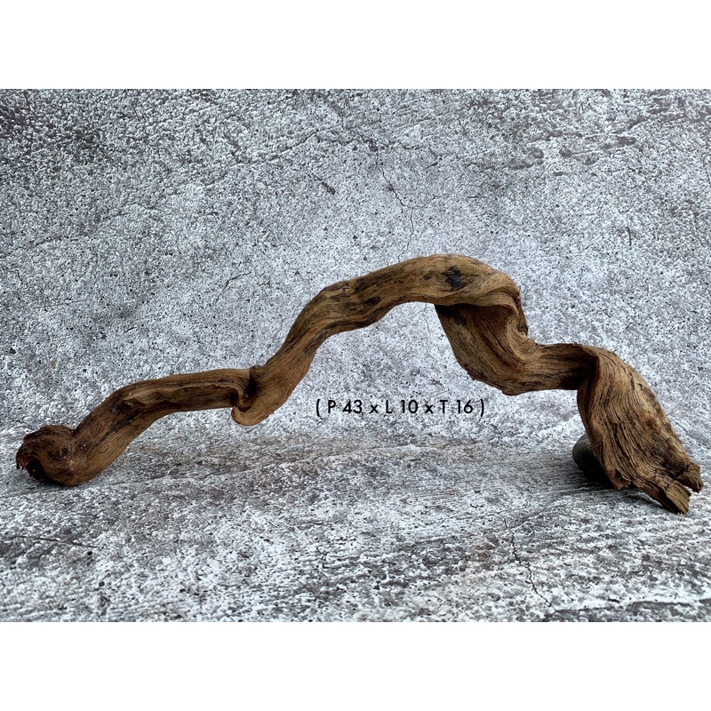 Kayu Santigi Laut Aquascape