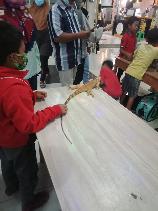 Stella All In One 42g  Pengharum Ruangan Stella