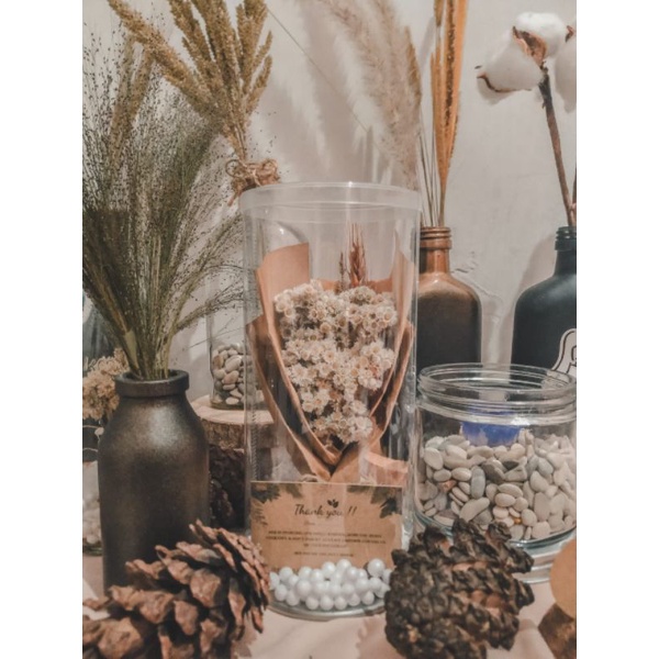 

Aesthetic edelweiss mini box