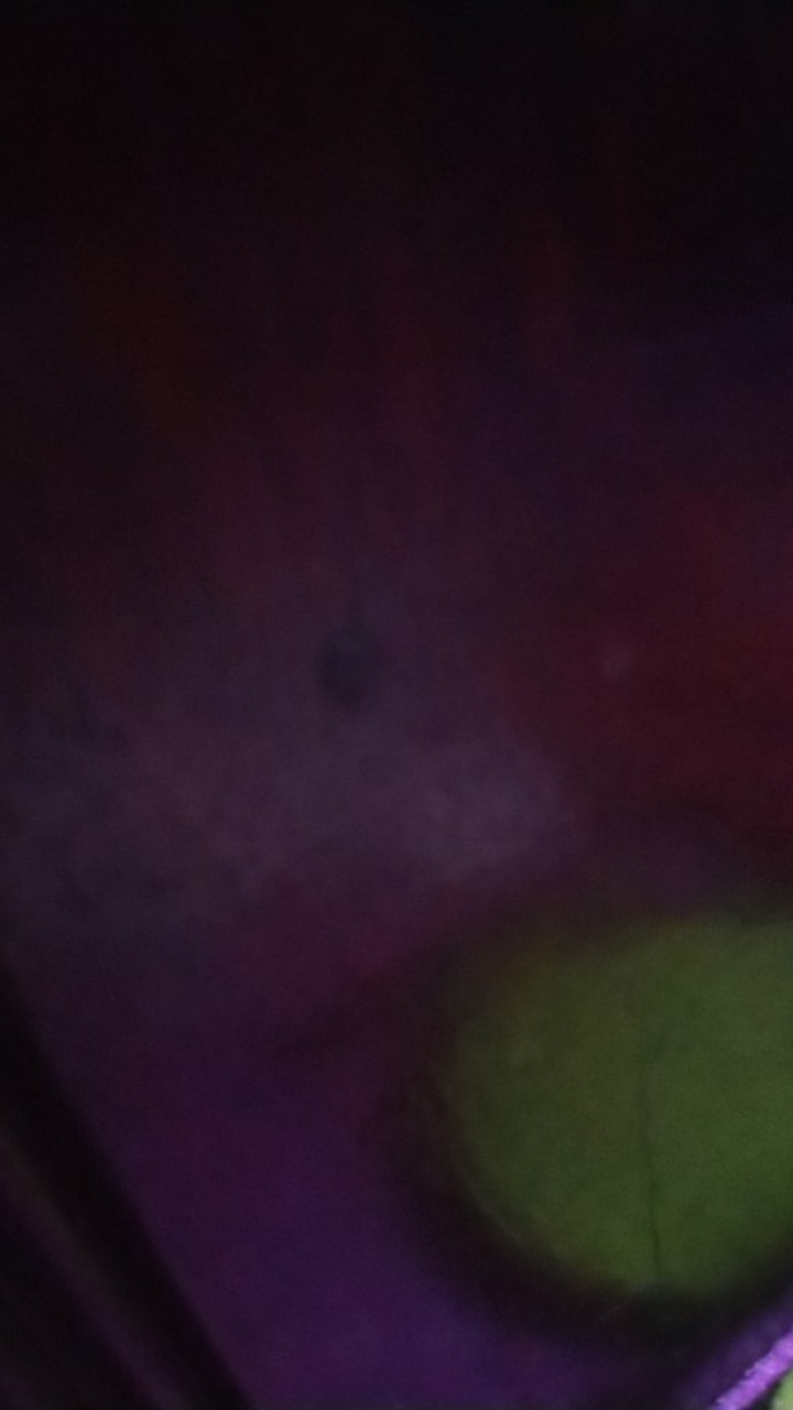 Alat Pemisah Kuning Dan Putih Telur (egg Separator)