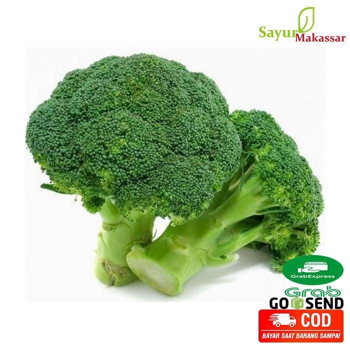 

Brokoli Hijau 1 Kg/ Broccoli Sayuran Segar/ Sayur Makassar