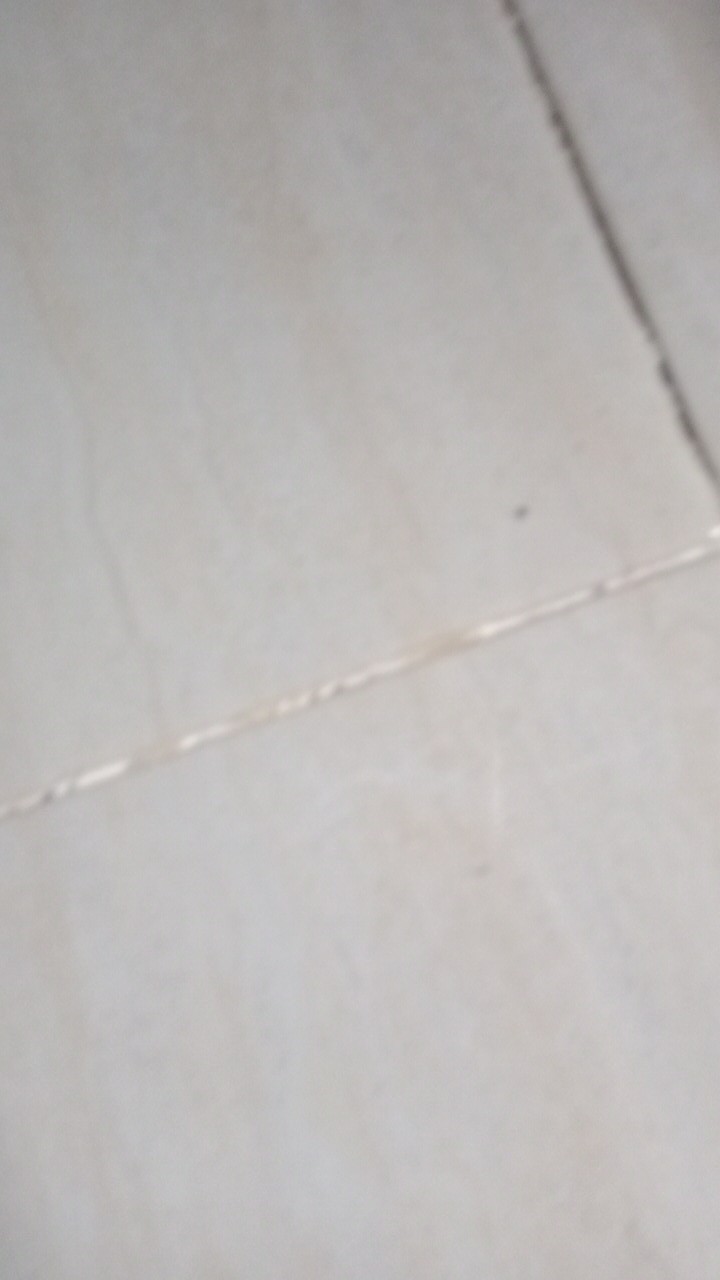 Sprei Kintakun X Addy Debil 160