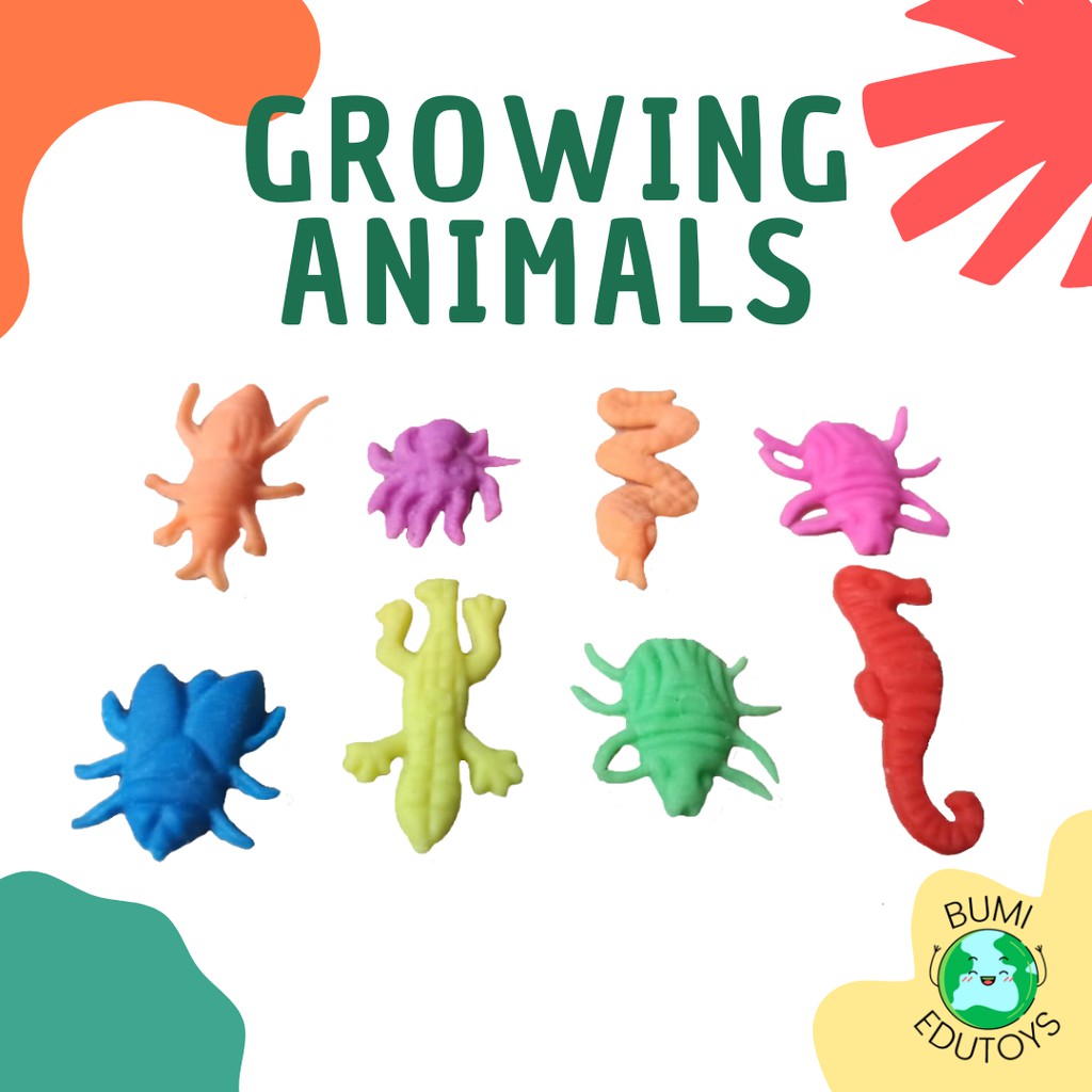 Bumiedutoys - Growing Animals / Hewan Tumbuh / Hidrogel Binatang / Mainan Binatang